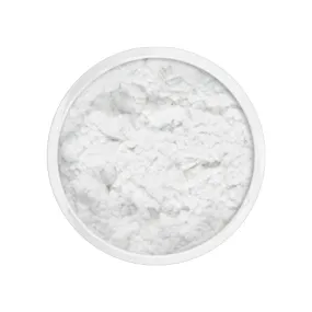Dermacolor Fixing Powder 60g
